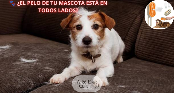 Cepillo Para Mascotas A Vapor Recargable