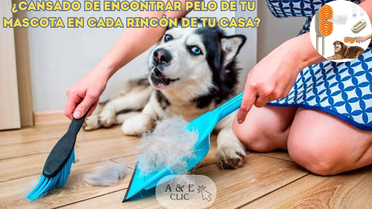 Cepillo Para Mascotas A Vapor Recargable